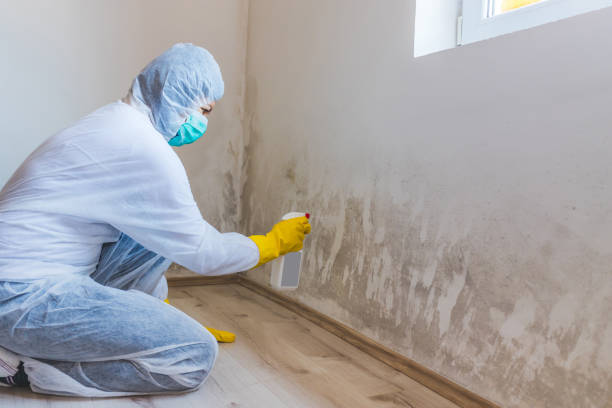 Licensed Mold Testing service in Bryantown, MD - WQB Mold Removal