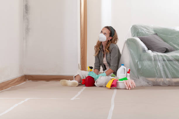 Reliable Mold Testing contractor in Bryantown, MD by WQB Mold Removal